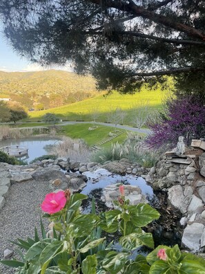 Property grounds - Beautiful pool home in foothills close to Sequoia's-  (Exeter)