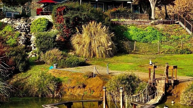 A pond with a wooden dock, surrounded by lush greenery and a stone wall. - Beautiful Villa with Pool & Scenic Views in foothills close to Sequoia's (Exeter)