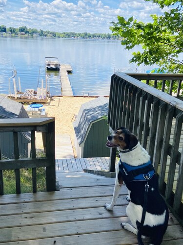 Lake Cabin with Dock, Deck and Beach on Long Lake 