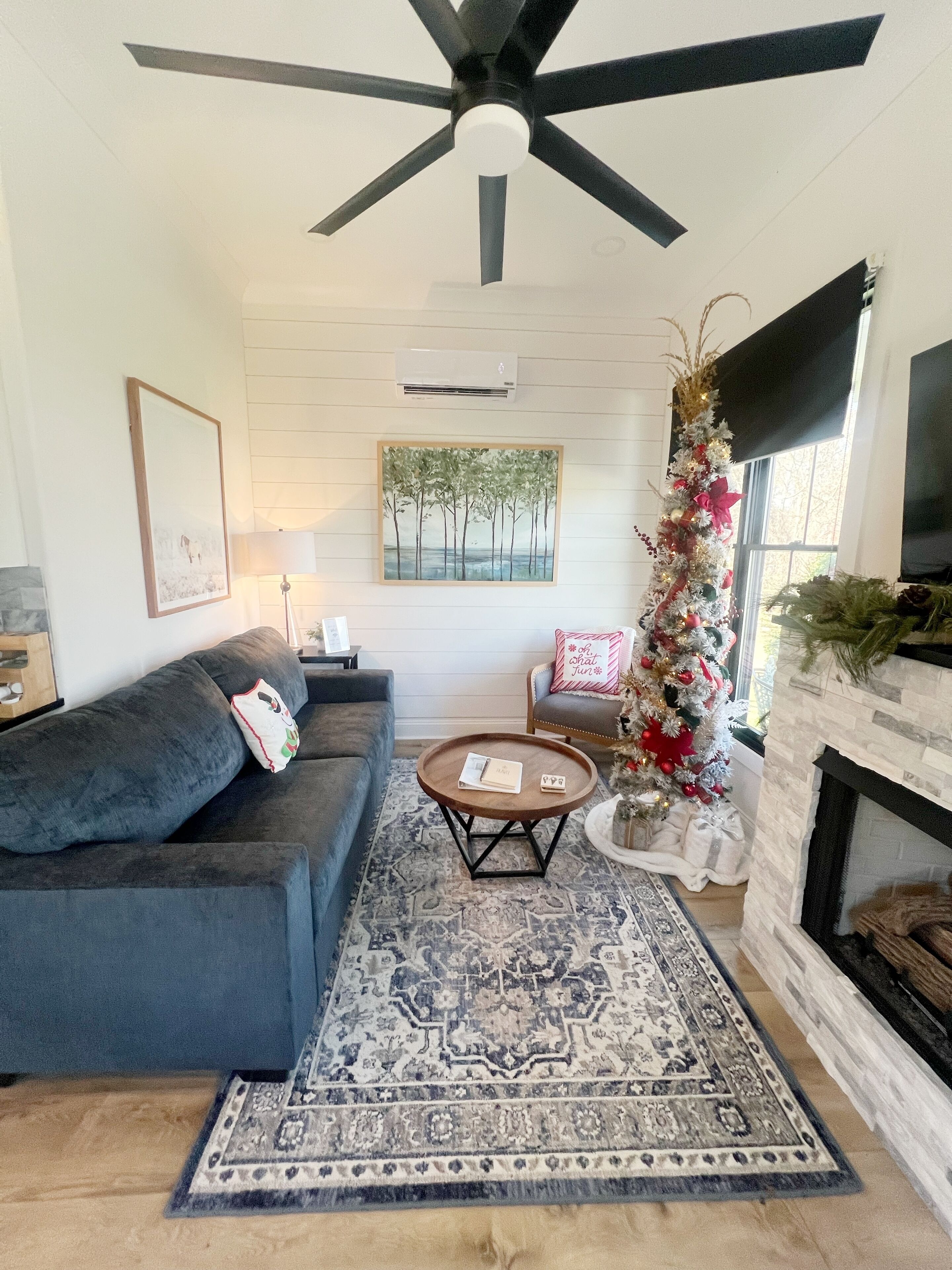 Smart TV, fireplace