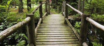 Russian and South African room in cabin surrounded by state forest