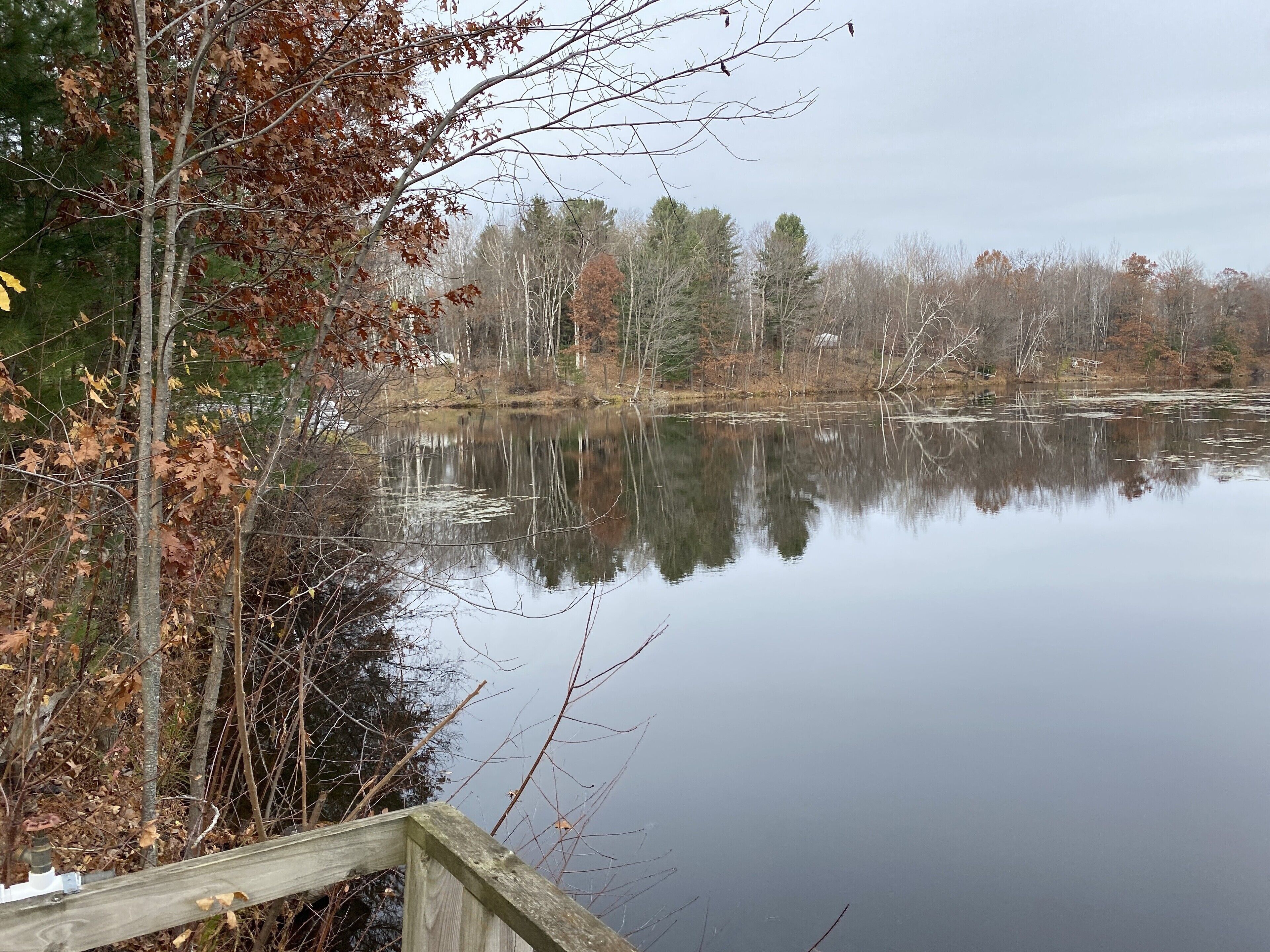 A calm lake with reflections of trees and a wooden dock.