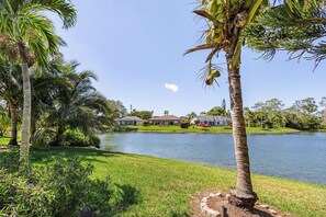 Property grounds - Designer Lakefront Haven ‘ (Naples)