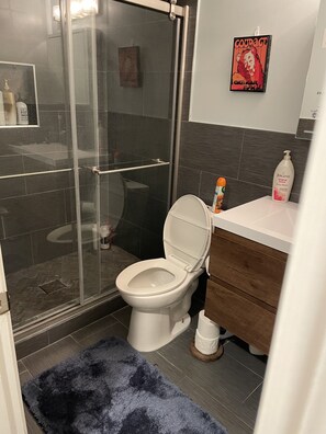 Douche, baignoire à jets, sèche-cheveux, serviettes fournies