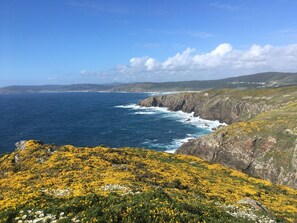 Eine Küstenlandschaft mit Klippen, dem Meer und einem Feld voller gelber Blumen.