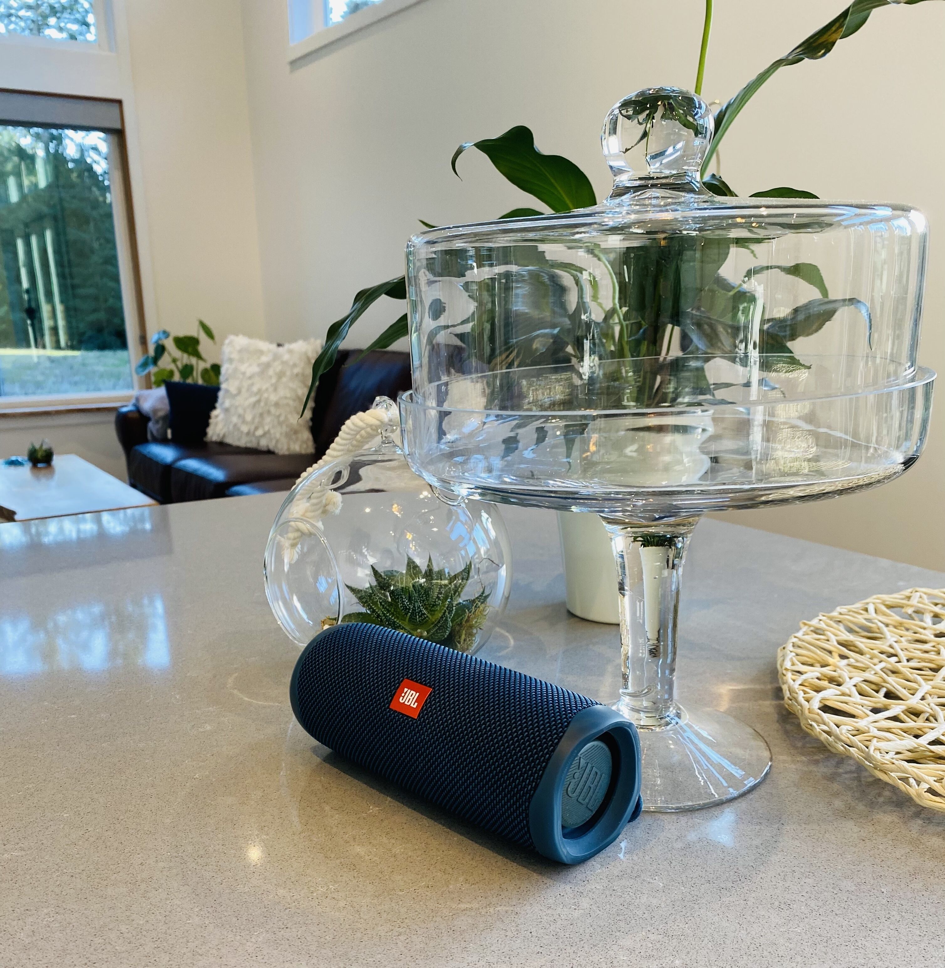 Una mesa de vidrio transparente con un altavoz y una planta en un recipiente de vidrio.