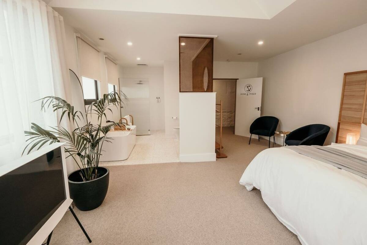 A modern hotel room with a bed, a TV, a potted plant, and a bathroom visible through an open door.