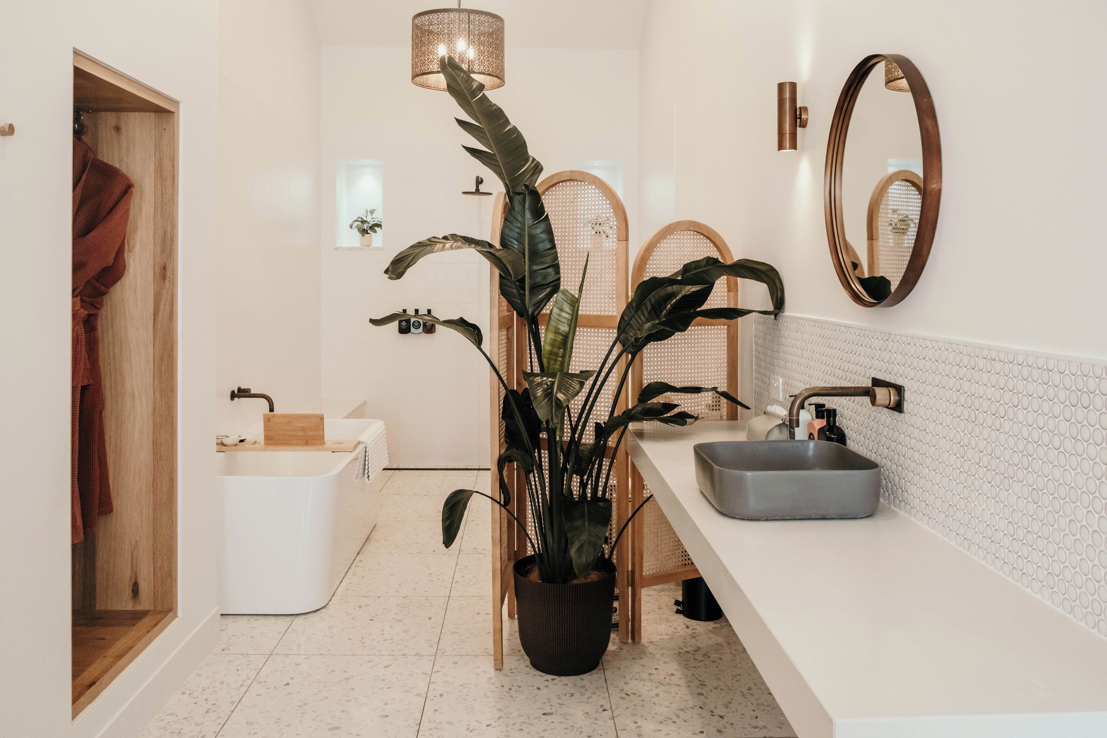 A modern bathroom with a large potted plant, a white sink, and a mirror.