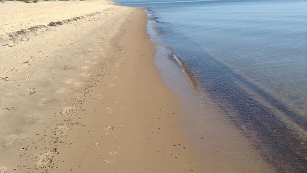 Una playa con arena y agua tranquila.