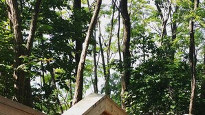 Un puente de madera en un área boscosa con un sendero de tierra que lleva hasta él.