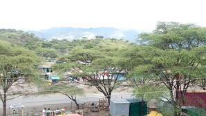A rural area with trees, a road, and some buildings in the background. - Lalwa Safari Lodge (Kabarnet)