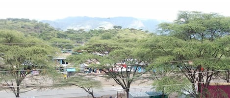 Vista desde la propiedad