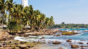 A coastal scene with a white lighthouse, palm trees, rocky shoreline, and clear blue water. - Dedduwa Boat House (Bentota)