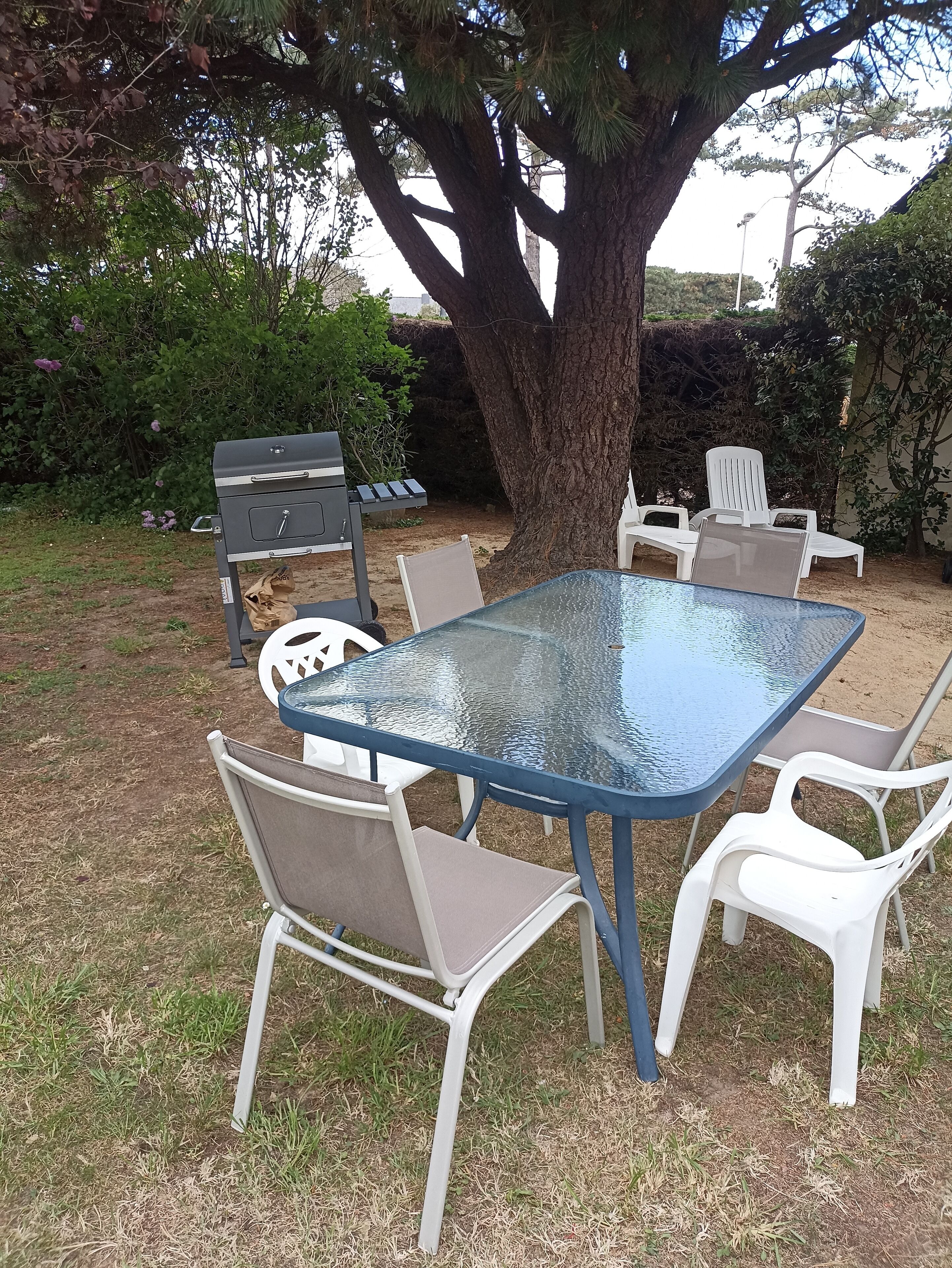 Eine Terrassengruppe im Freien mit einem Glastisch, umgeben von weißen Stühlen, einem Grill und einem großen Baum, der Schatten spendet.