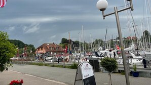 Uklassifisert bilde, 3 av 18, knapp