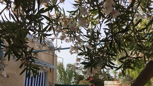 Bungalow, 1 Bedroom, Smoking, Terrace | Outdoor dining - Acacia Bungalow 2 Bedrooms (Mezraia)