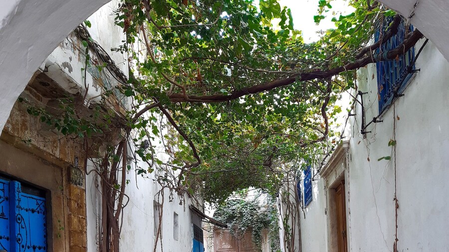 Acacia Bungalow 2 Bedrooms