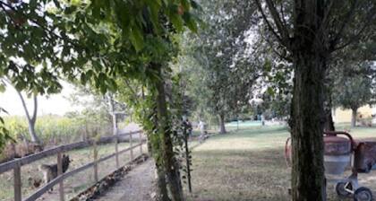 Bed and Breakfast Casa Adrya