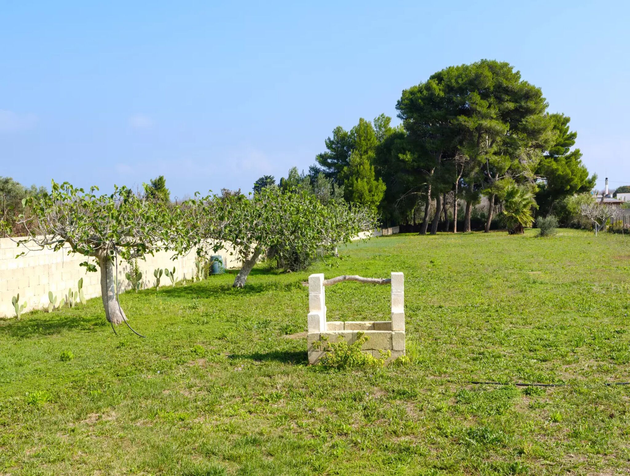 An open grassy field with a stone structure in the center, surrounded by trees and a low wall.