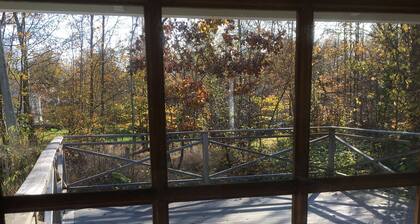 Idyllic Bungalow Close to sea and Forest - Self Contained