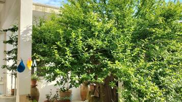 Casa, 2 camere da letto, patio, vista giardino | Parco della struttura