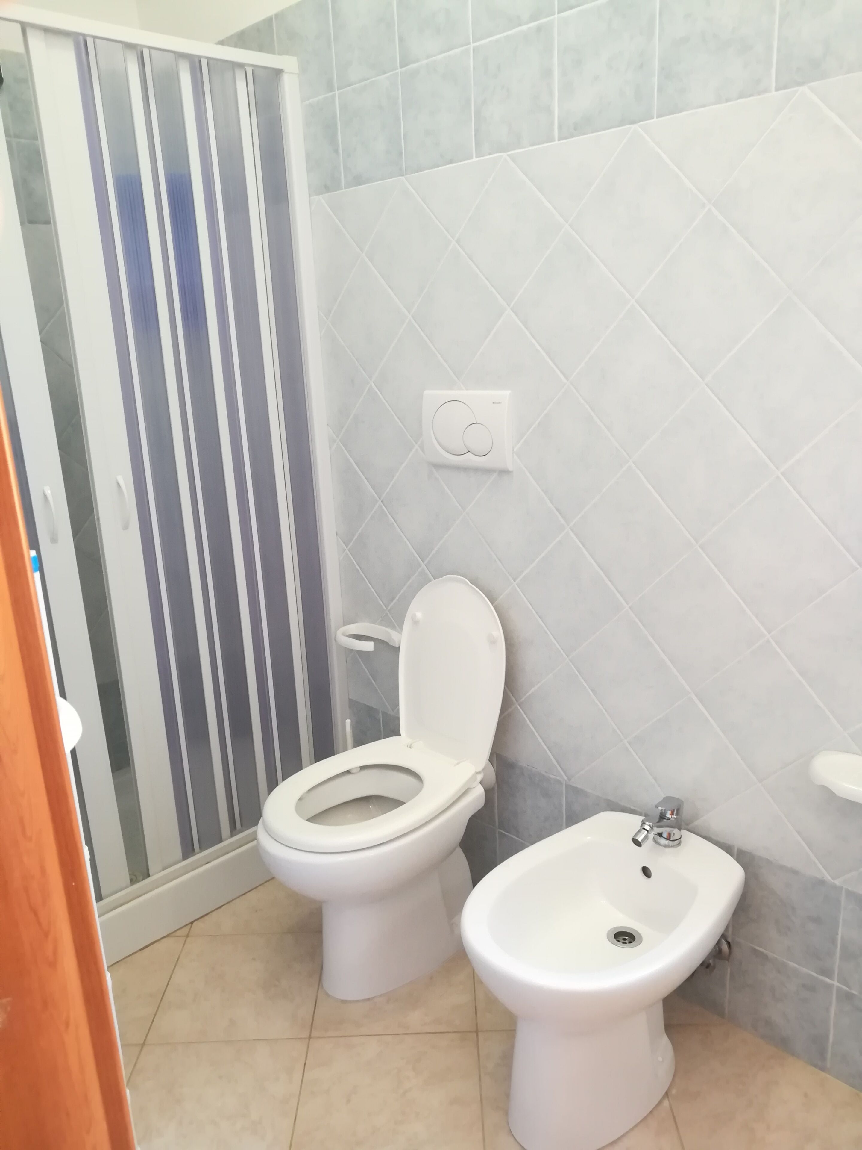 A bathroom with a toilet, bidet, and a shower area with a glass door.