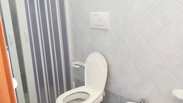 A bathroom with a toilet, bidet, and a shower area with a glass door.