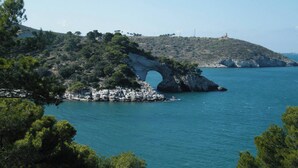A coastal landscape with a prominent rock arch formation surrounded by greenery and a clear blue sea. - Holidays in Vieste in Charming Villas - 1 (Vieste)