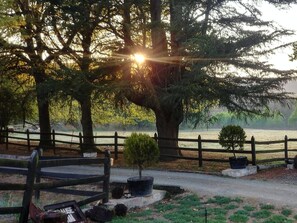 Property grounds - Garden Cottage Room 20 (Greater Kokstad)