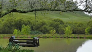 Lago
