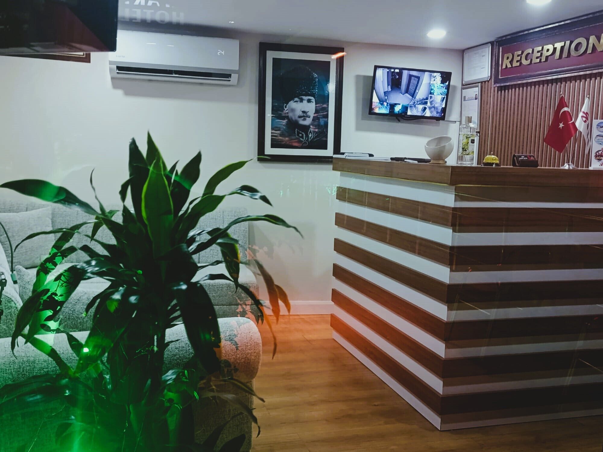 A reception area with a reception desk, a television, a framed picture, and a potted plant.