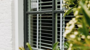Una ventana con marco blanco y persianas negras, parcialmente cubierta por follaje.