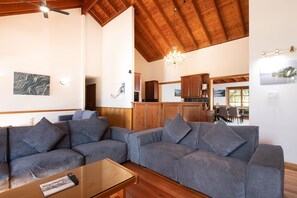 Smart TV, fireplace, video games, DVD player