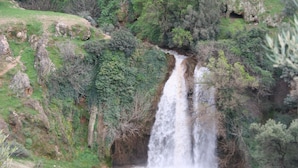 A waterfall cascading down a rocky hillside surrounded by dense greenery.
