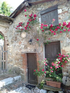 Dettaglio esterni