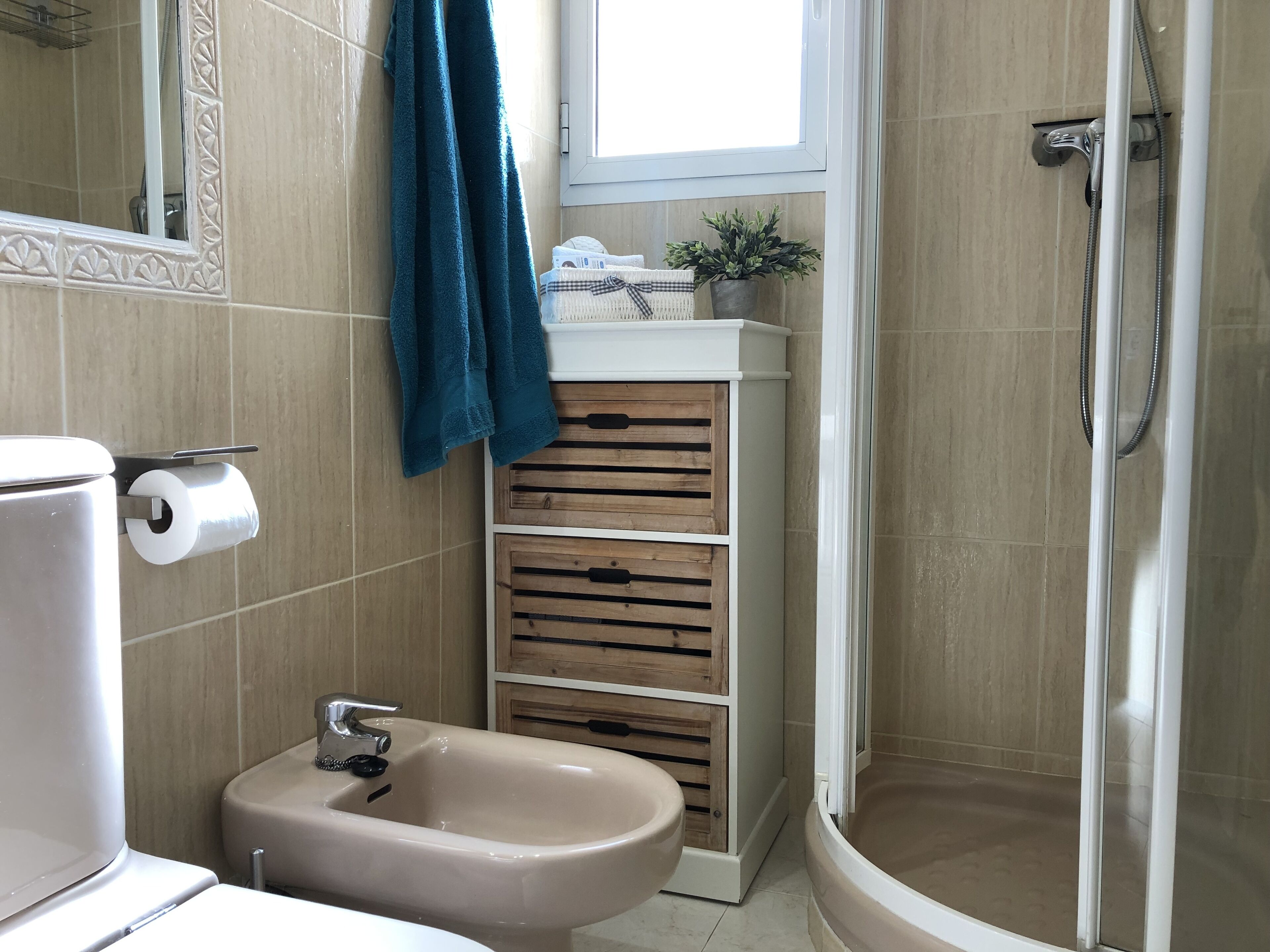A bathroom with a toilet, bidet, and shower.