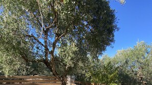 A garden with various plants, a wooden bench, and a stone pathway. - Villa Serenity (Kropia)