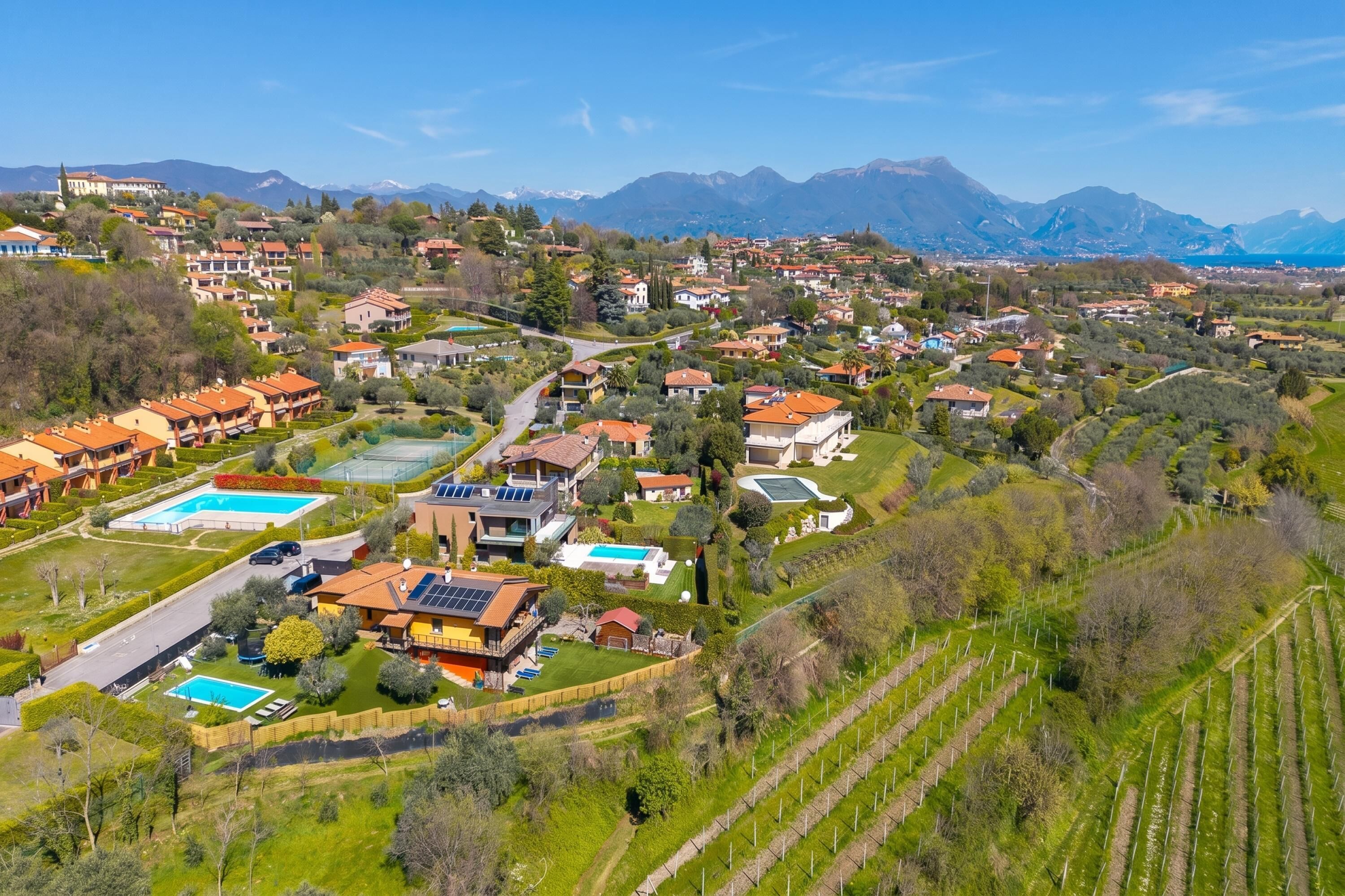 A residential area with houses, a swimming pool, and a vineyard.
