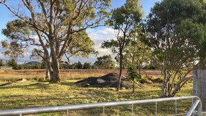 A fenced outdoor area with trees and a grassy field. - The Farm. Entire house country stay (Applethorpe)