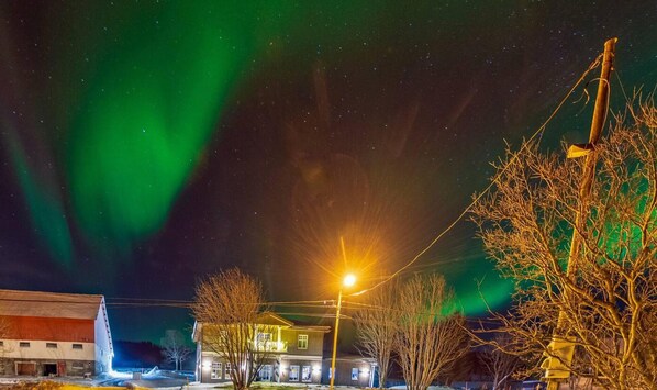 Exterior - Beautiful 1-bed Apartment in Lenangsoyra Lyngen (Lyngen)