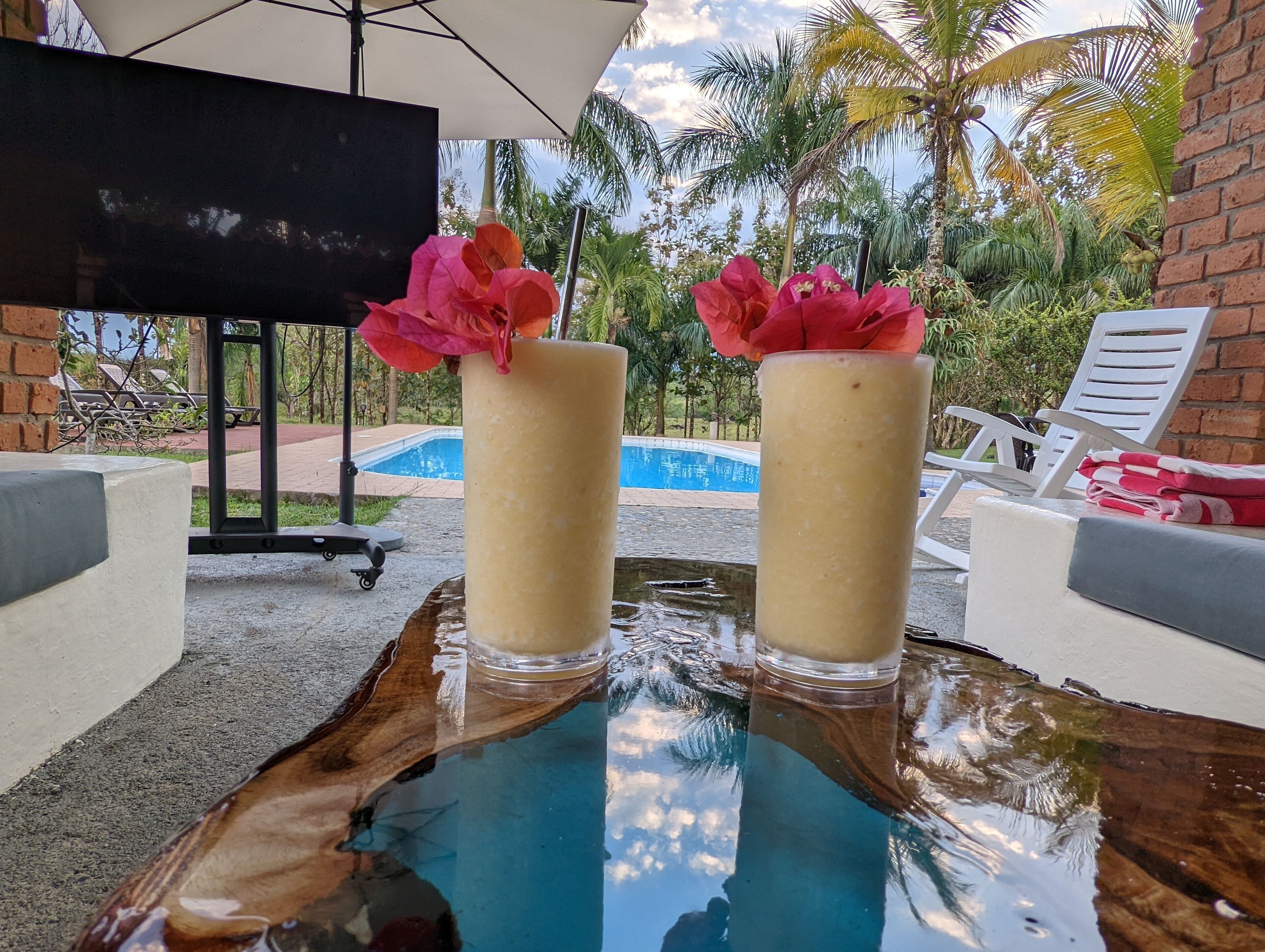 Full Gastronomic experience included