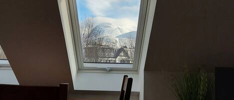 A skylight window with a view of a snow-covered mountain and a building.