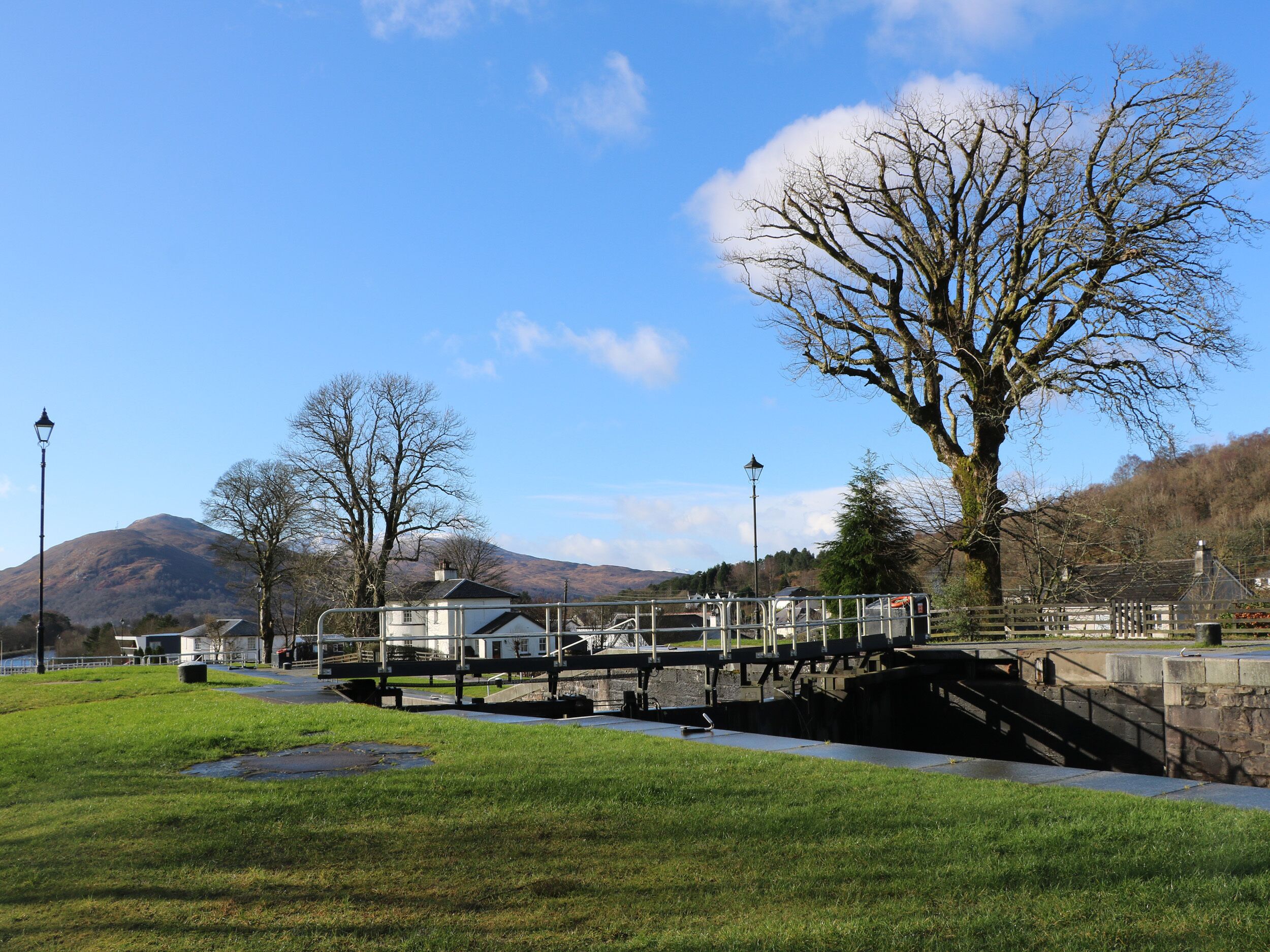 A riverside walkway with a bridge, a large tree, and a mountain in the background.