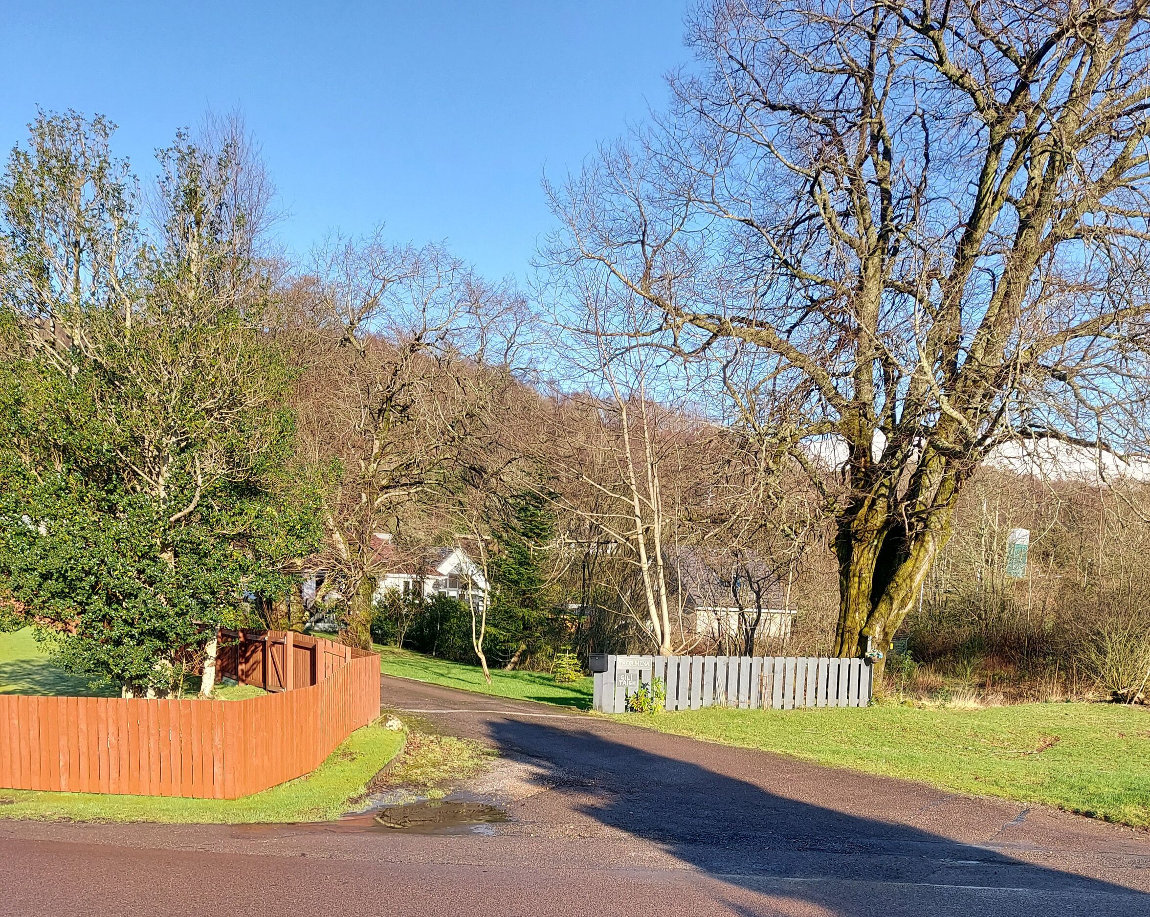 A rural road leading to a house surrounded by trees and a wooden fence.