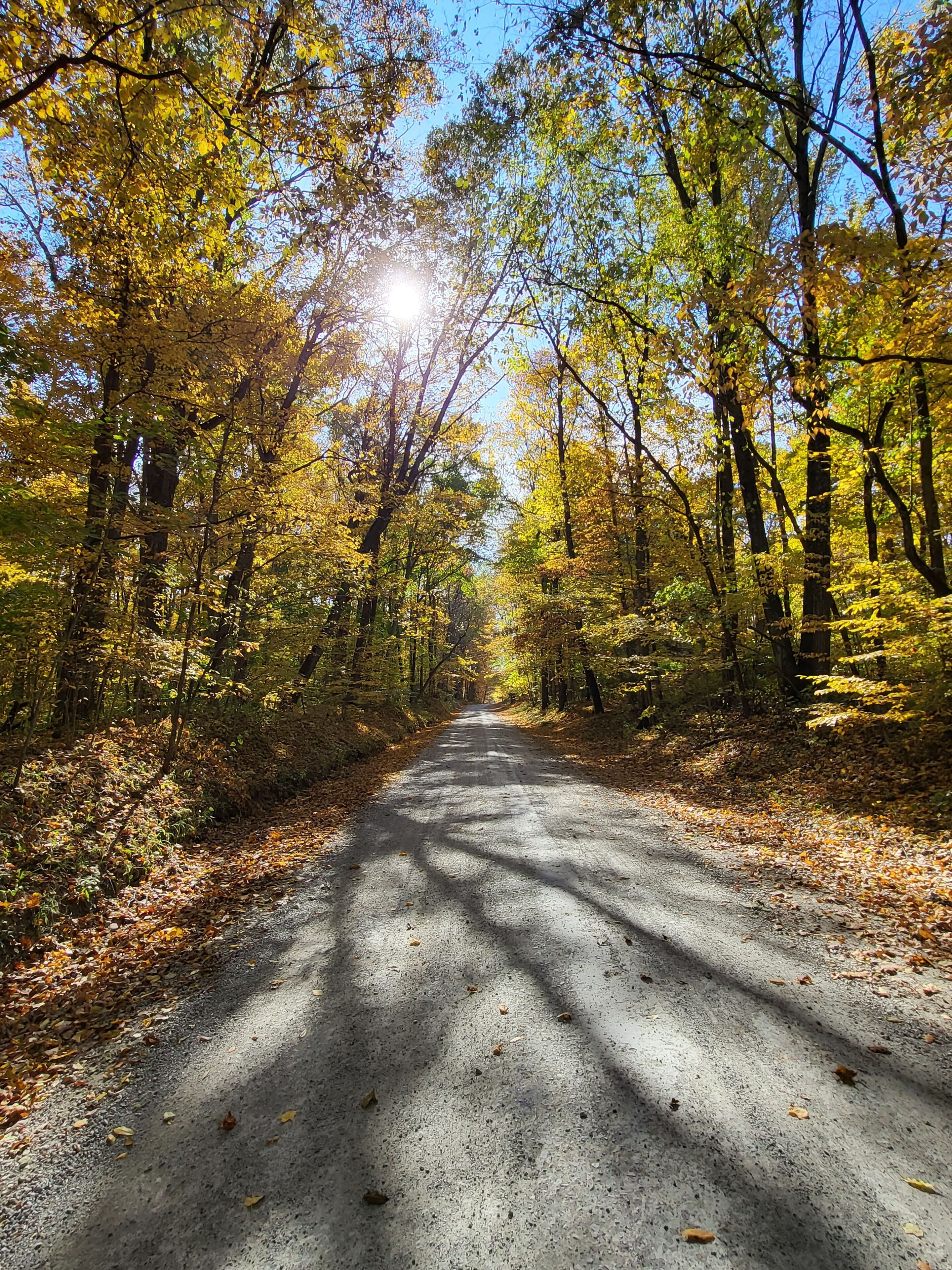 Lovely road the home sits on with privacy and good evening walks