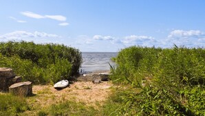 A beach with a wooden pier leading to the water, surrounded by dense greenery.