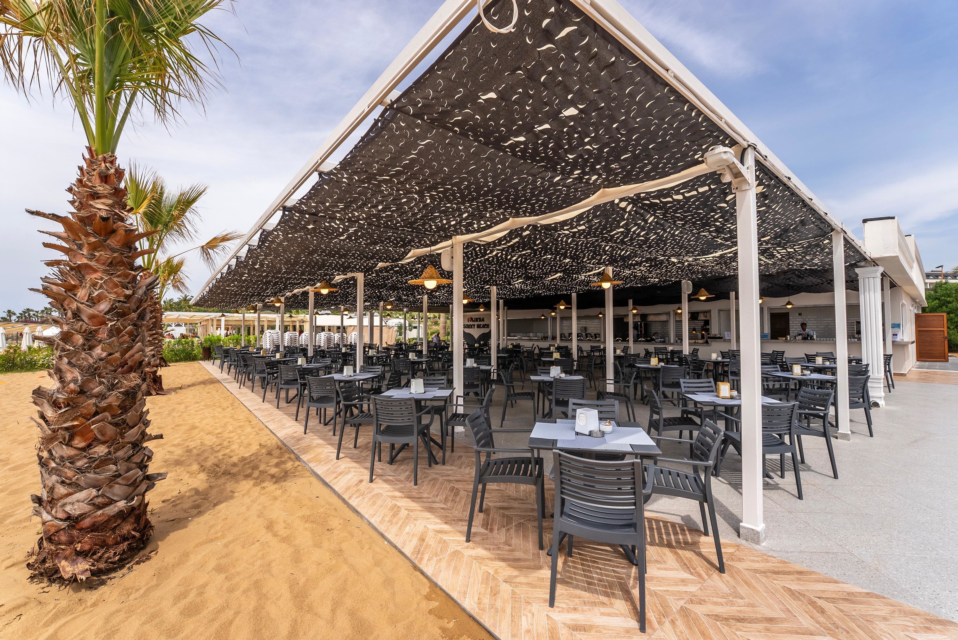 An outdoor dining area with tables and chairs, a palm tree, and a covered seating area with a patterned ceiling.