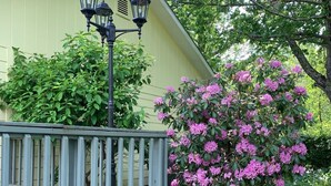 A yellow building with a wooden deck and a pink flowering bush. - Remodeled French Country Style Cottage Close to Hiking Trails and Hot Springs (Hot Springs)