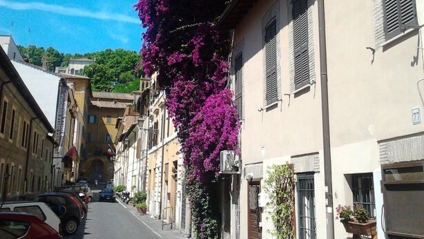 Eine schmale Straße gesäumt von historischen Gebäuden, einige mit Fensterläden, und ein markanter lila blühender Baum.