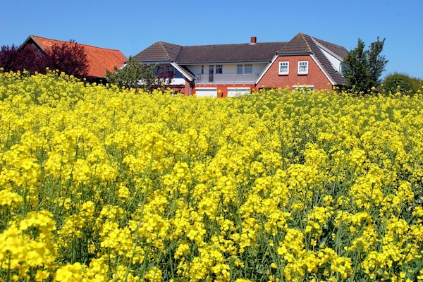 Das Haus